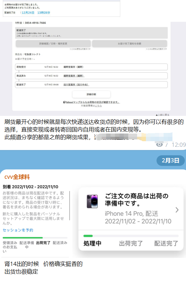 国外黑产项目拆解：日收入数万元的国内外信用卡CVV撸货 CVV刷货避坑-项目村
