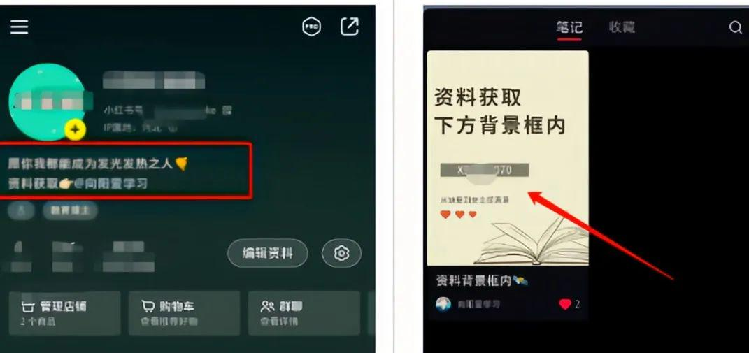 在小红书上销售养生资料，案例轻松赚取5万+的月收入，多种变现方式，可达到一本万利的效果-项目村