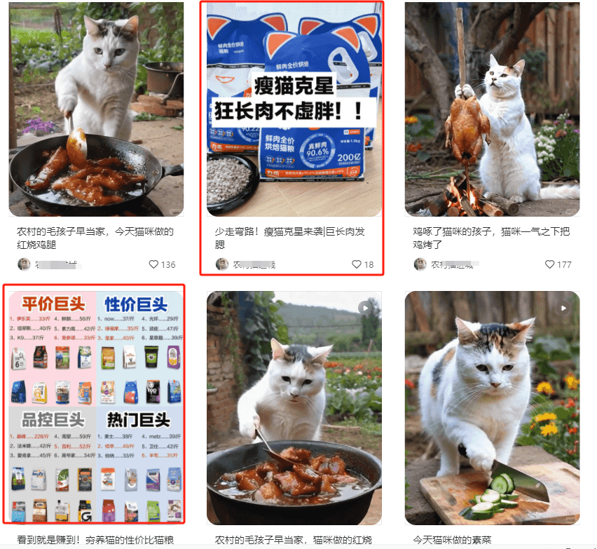 小红书上2个月涨粉2万+ 的猫咪做饭视频  五分钟教会你-项目村