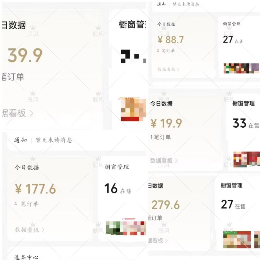 小绿书项目，从流量主到带货，内测变现3-5万的经验复盘-项目村